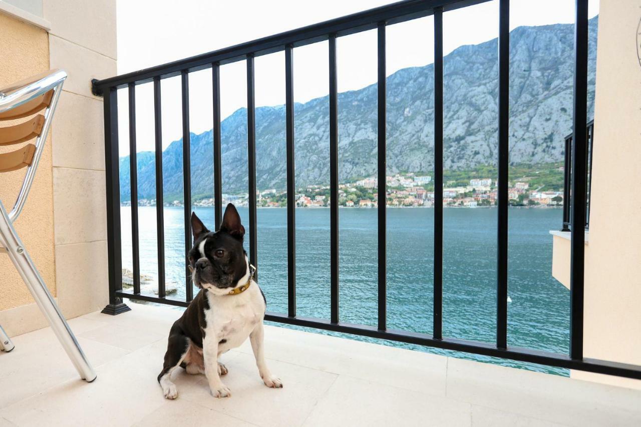 Apartments Rozer Kotor Exterior foto